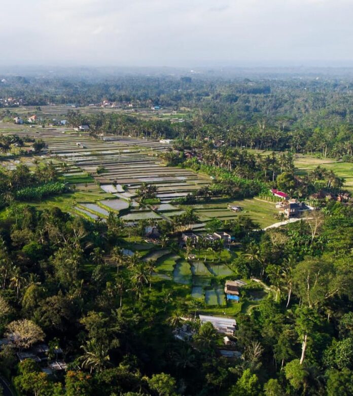 ilustrasi kampung ekslusif WNA di Ubud